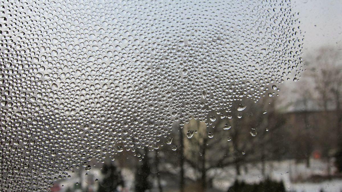Condensation Blog Hero