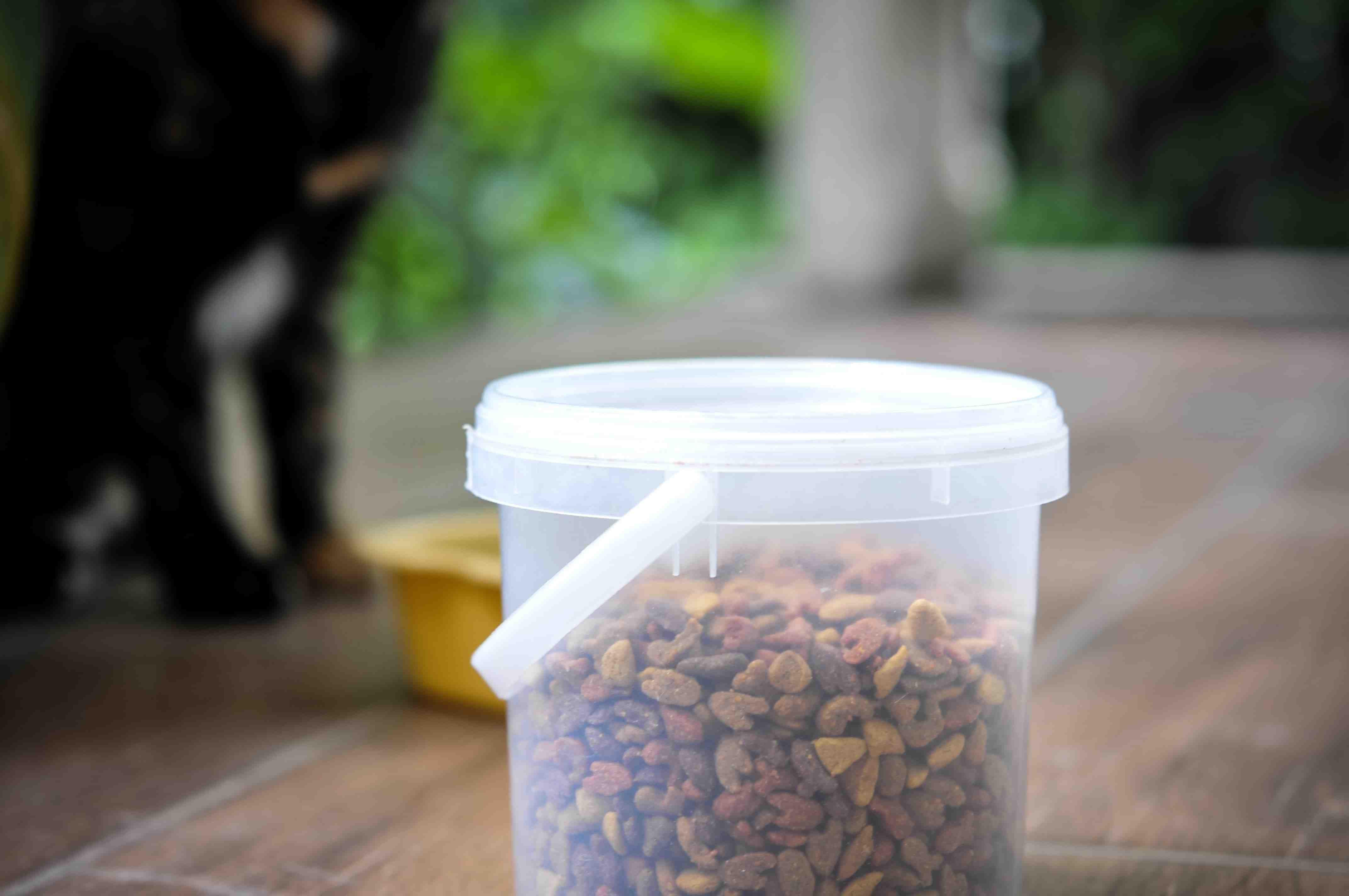 Clear resealable container of pet food sitting on a wooden floor Clear resealable container of pet food sitting on a wooden floor