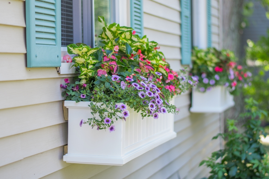 flower window boxes on a house with light blue shutters