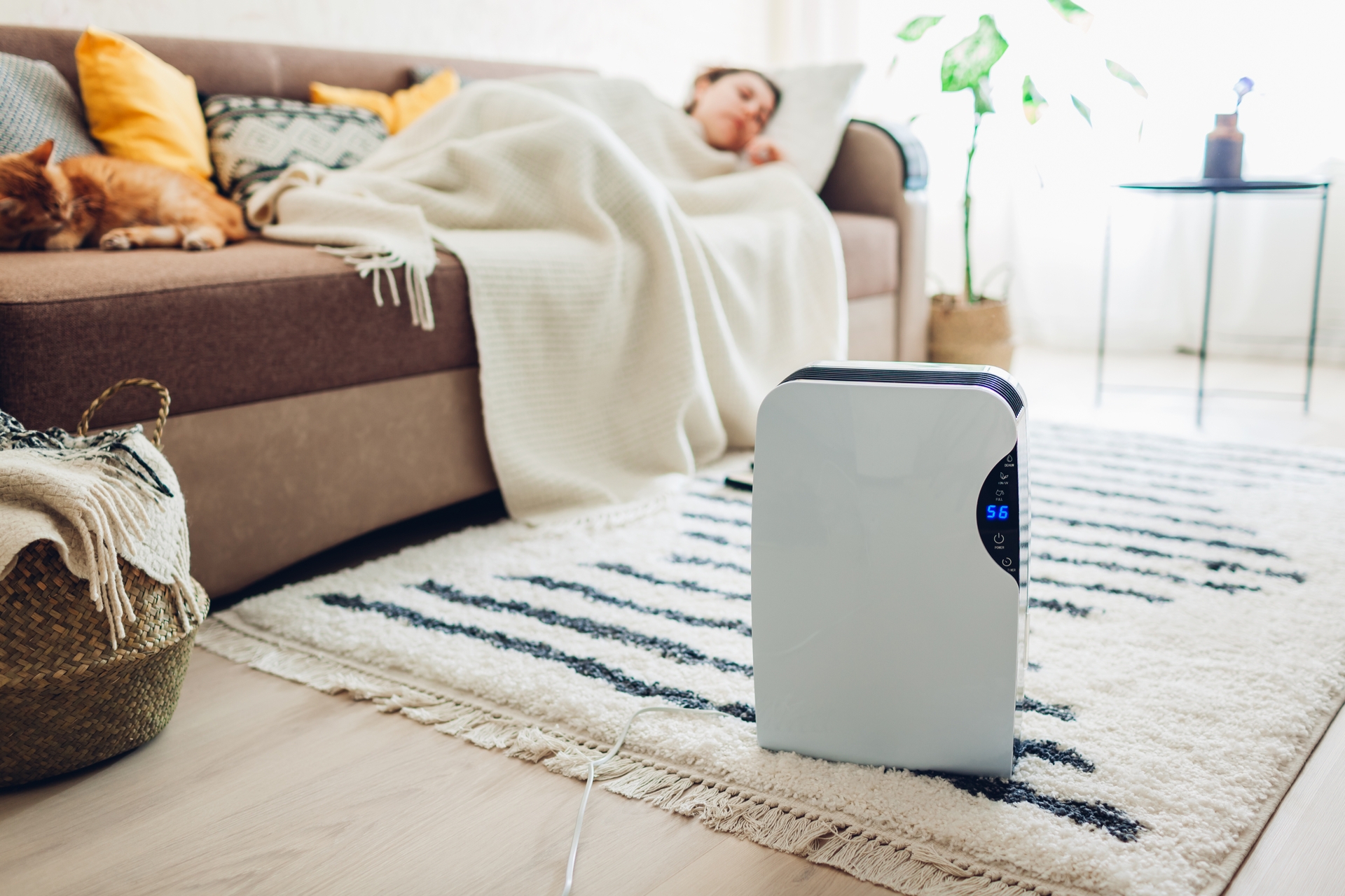 Header Woman On Couch With Humidifier In Floor
