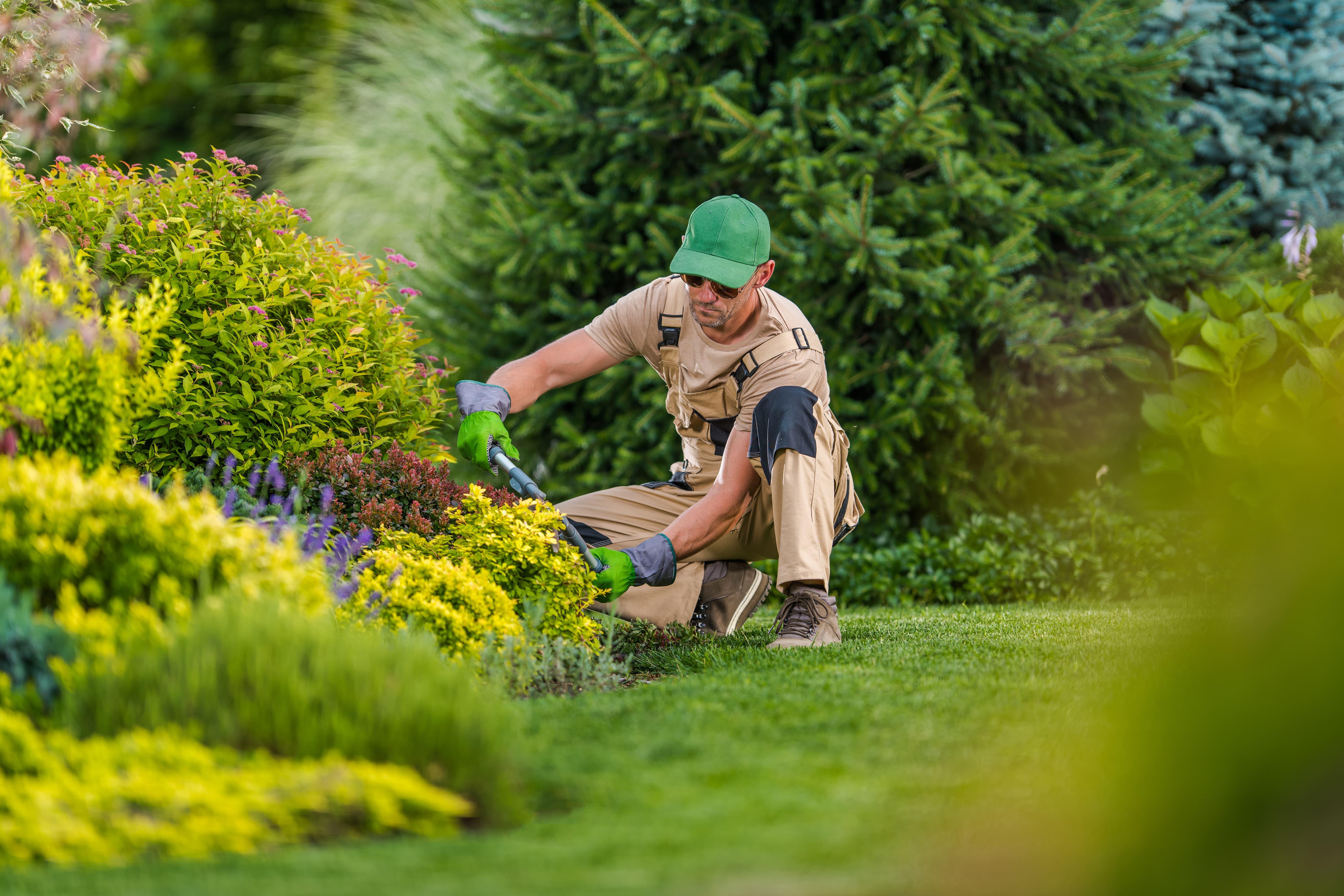 kneeling on a lawn, trimming shrubs around the exterior of a home kneeling on a lawn, trimming shrubs around the exterior of a home