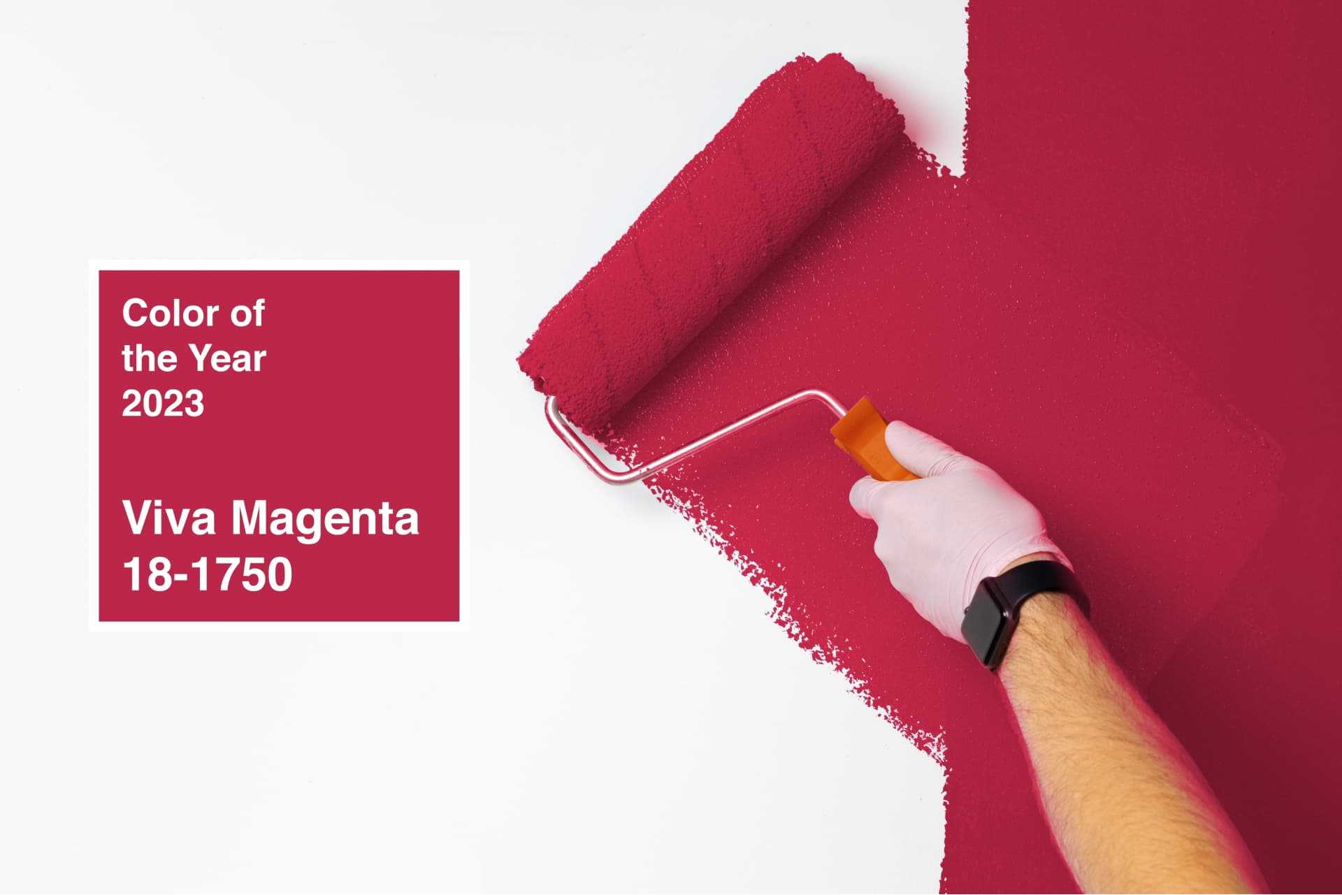 An accent wall being painted a bright magenta color, the 2023 Pantone Color of the Year
