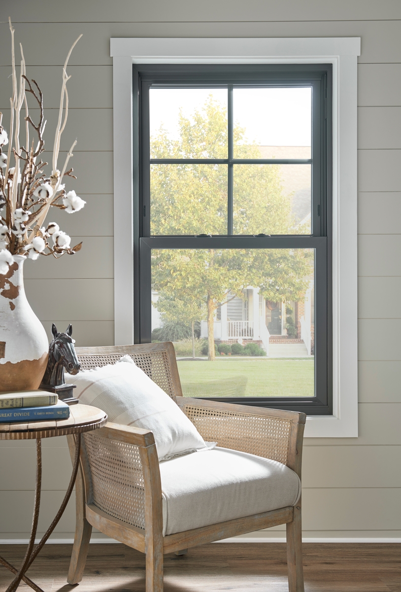 Black-framed double-hung window with traditional grid on top sash