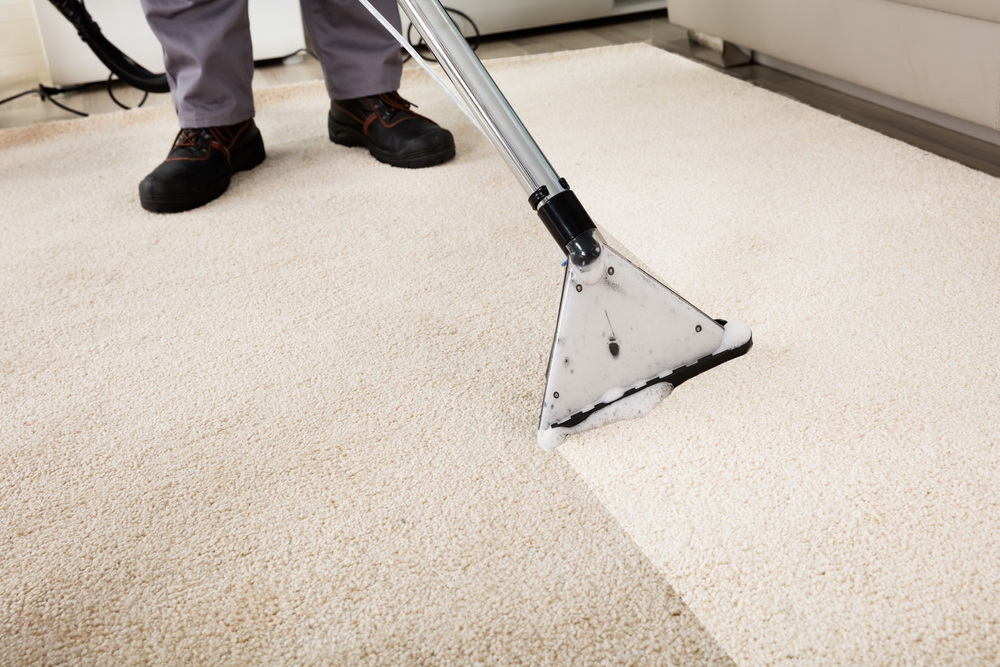 A man cleaning the carpet