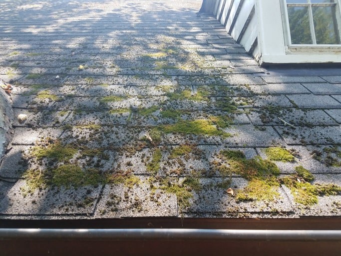 A roof with moss growing on it