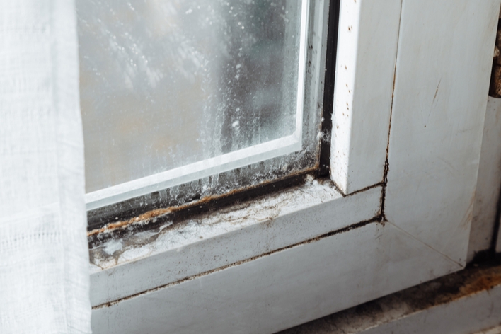 Dirt and debris on a window