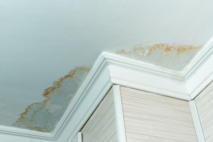 A ceiling with molding and water stains