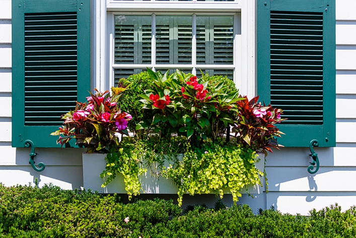 A picture containing container, box, outdoor, flower A picture containing container, box, outdoor, flower