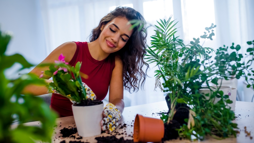 Woman potting plants