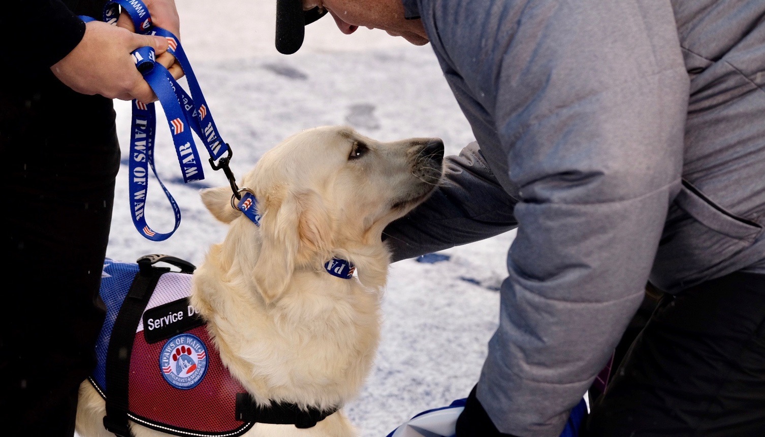 Giants Service Dog Presentation