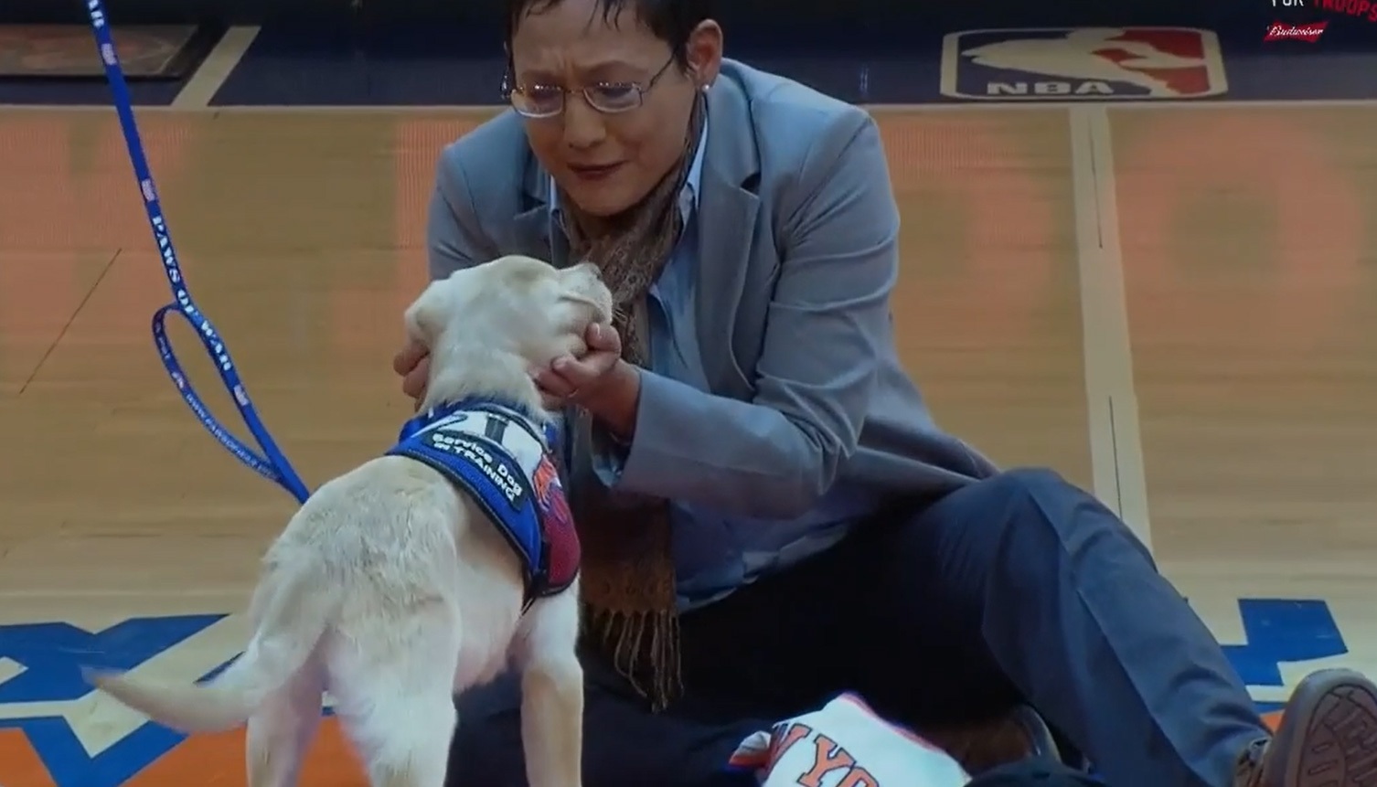 Ww Knicks Service Dog