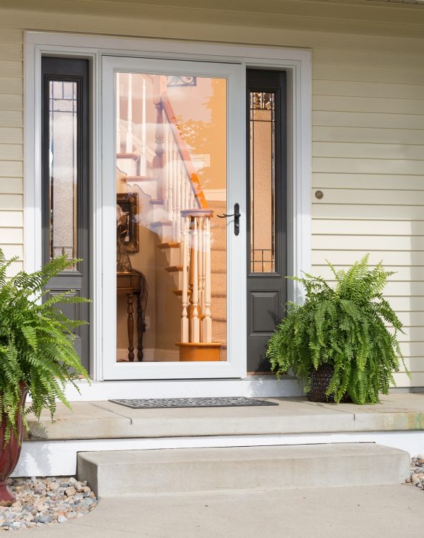 : large ferns on a porch in front of a white full view storm door