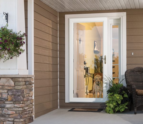 dog looking out of a glass storm door